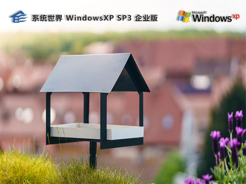 Ghost Windows xp sp3 32位 企业版v2023.12