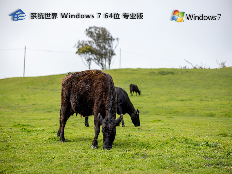 Windows7 64位 专业版v2023.12