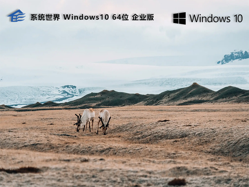 Windows10 64位企业版v2024.01