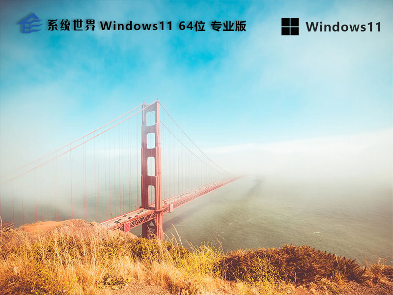 Windows11有哪些版本？