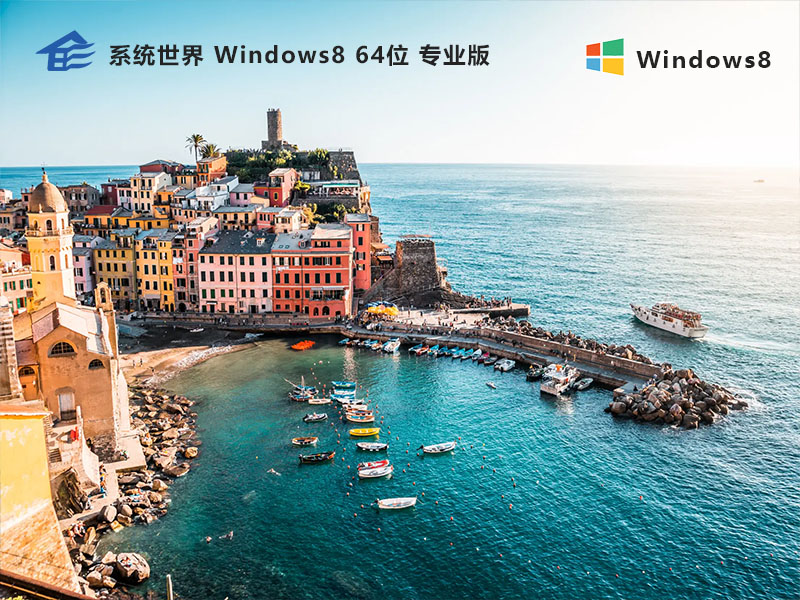 Windows8 专业版64位操作系统v2024.01