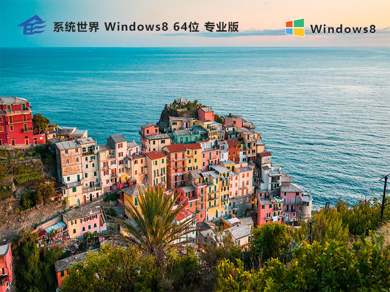 Windows8 专业版64位操作系统v2024.01