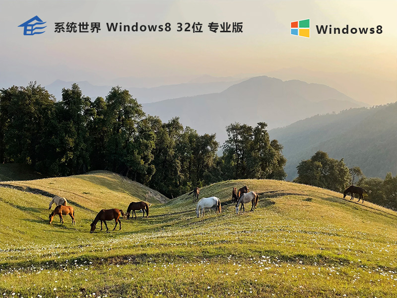 系统世界Windows8专业版