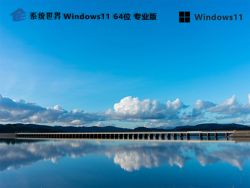 Windows 11 64位 专业版v2024.04 界面清新 安全便捷