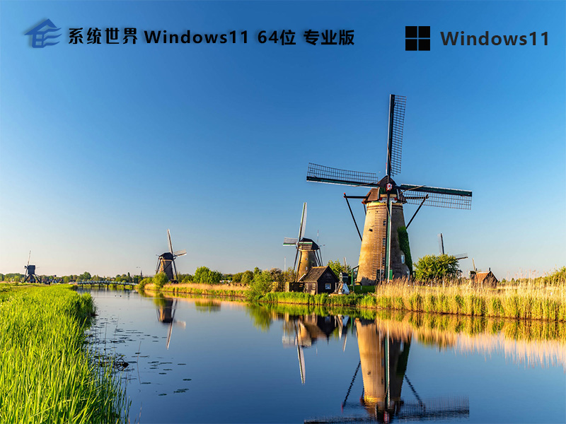 Windows 11 64位 专业版v2024.04 界面清新 安全便捷