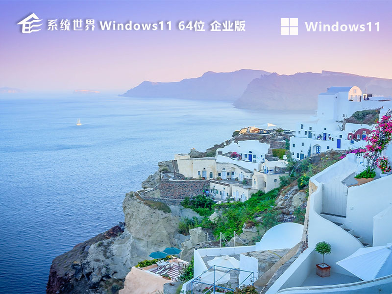 Windows11 22H2 64位 企业版v2024.05