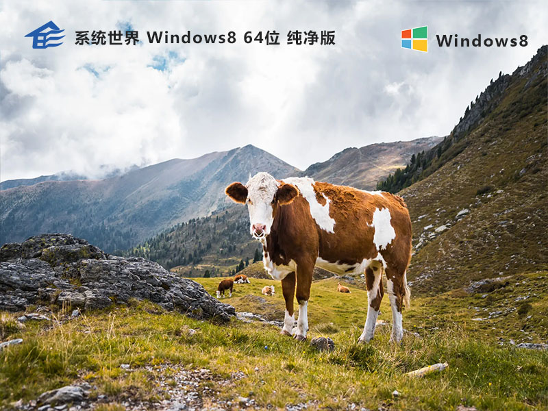 Windows 8 64位纯净版v2024.05