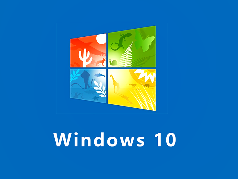 探索Win10文件类型发现功能：便捷你的工作与生活