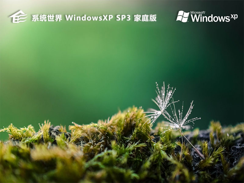 Ghost WindowsXP SP3家庭装机版v2024.07