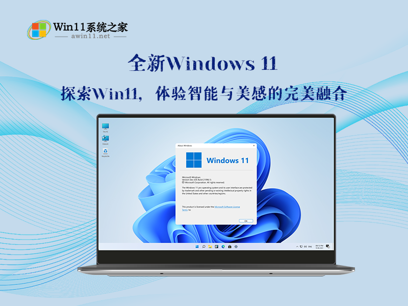 Windows 11 64位 家庭版v2024.07