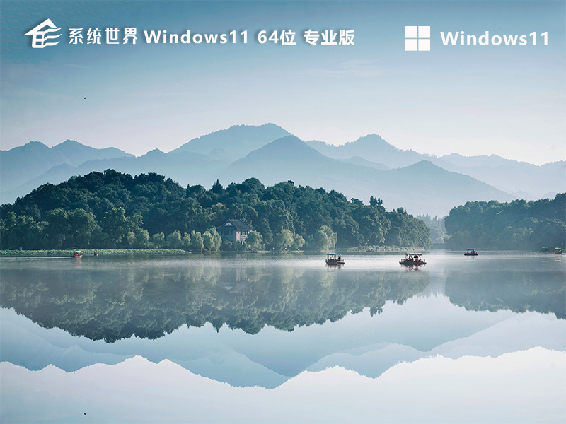 Windows 11 64位 专业版v2024.10