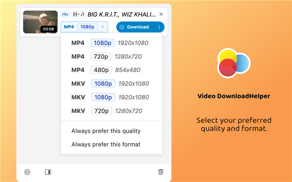 Video DownloadHelper