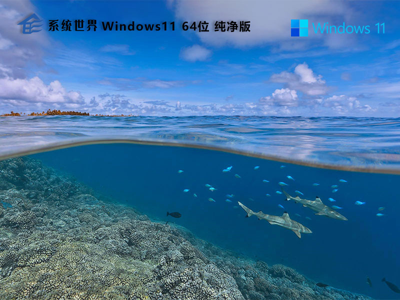 Windows 11纯净版：轻松装机，体验极致系统性能