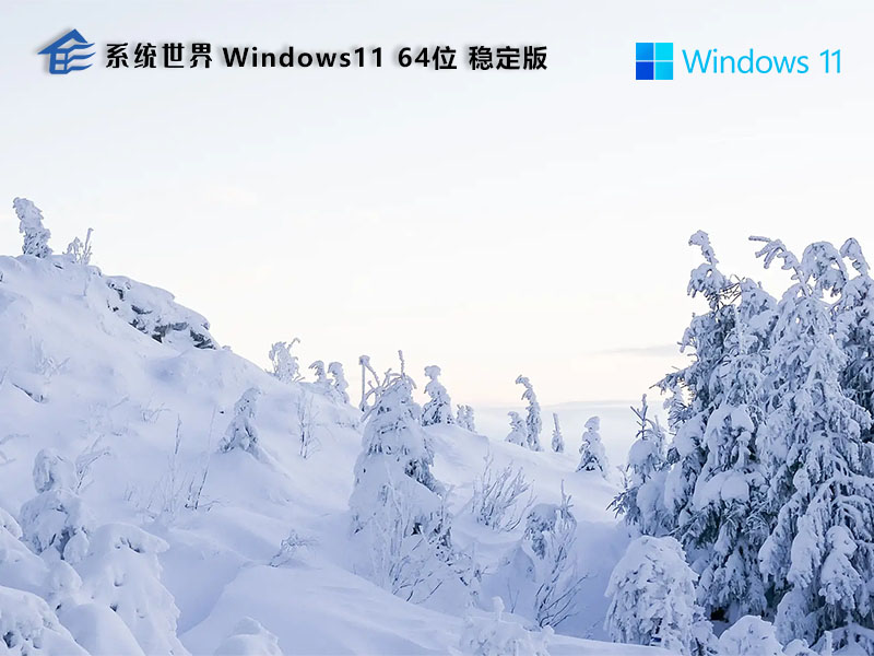 Windows 11 64位 稳定版v2025.01