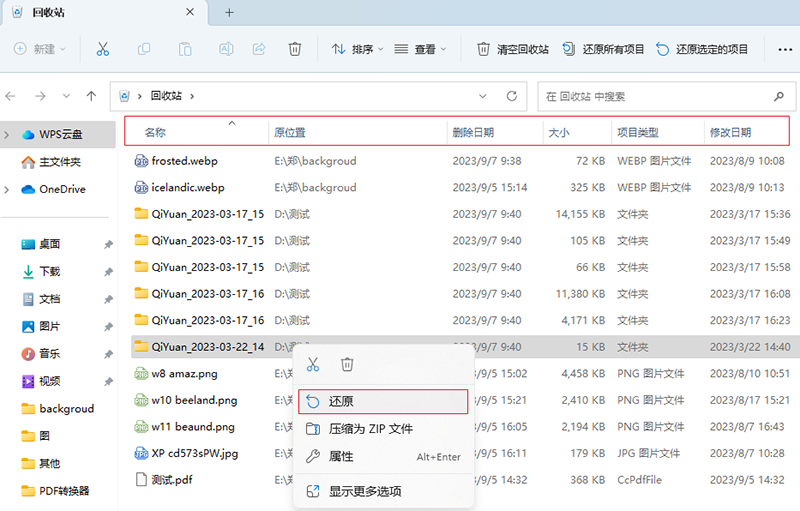 模拟赛车游戏方向盘误删文件恢复与设置指南